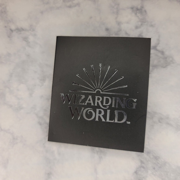 ⭐️ Harry Potter Quidditch Pitch Pin Wizarding World Magical Places 2.25"x1.5" - Picture 3 of 4